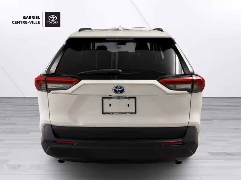2019 Toyota RAV4 Hybrid LE