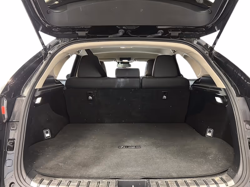 2021 Lexus NX NX 300