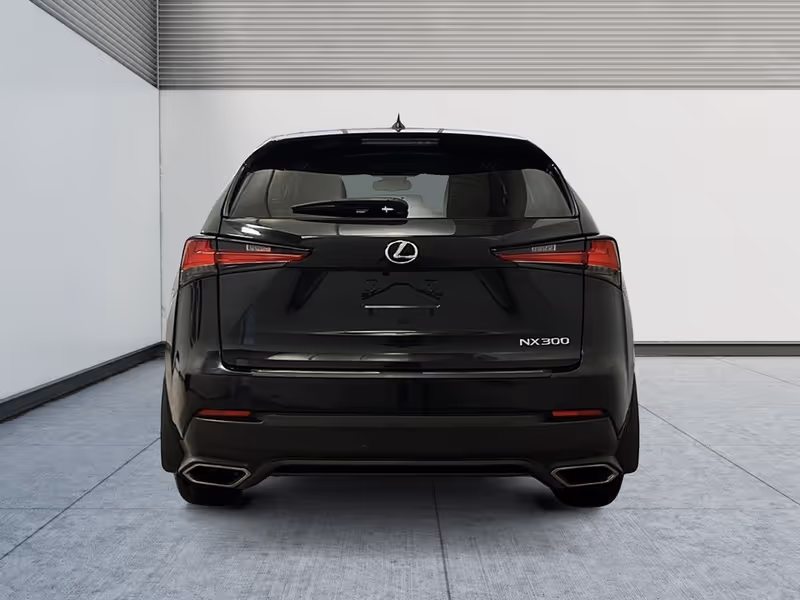 2021 Lexus NX NX 300