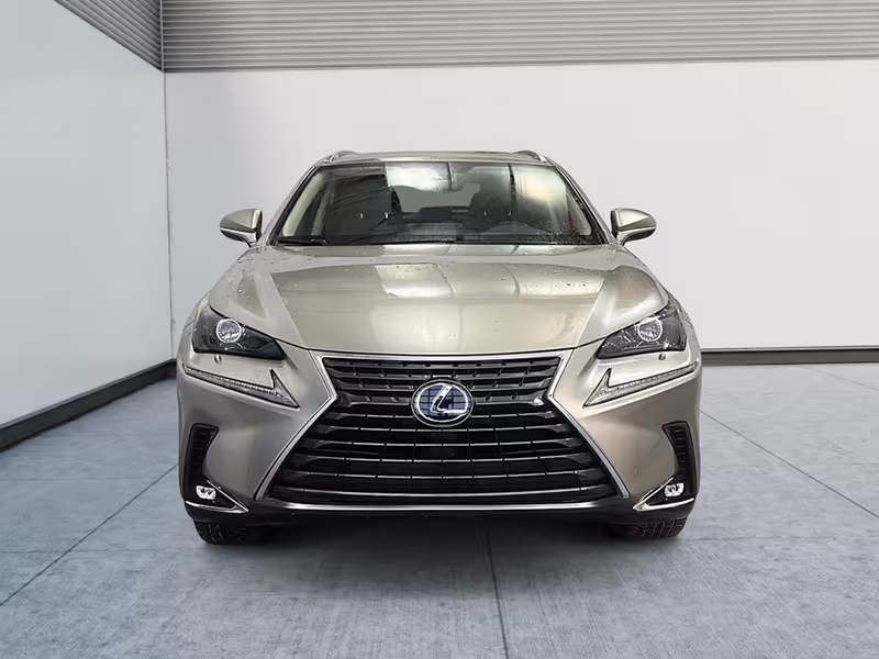 2021 Lexus NX NX 300h