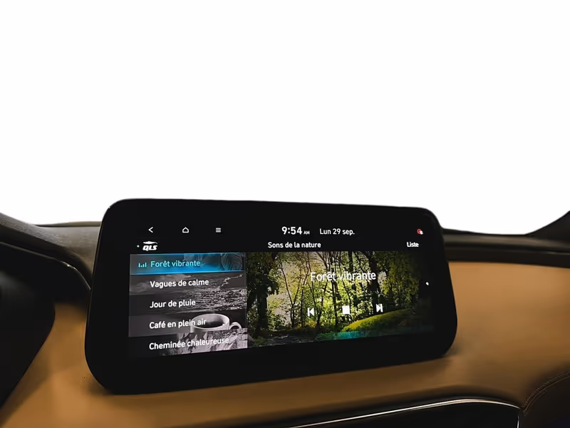 2022 Hyundai Santa Fe Ultimate Calligraphy