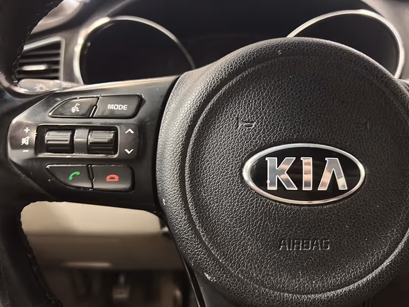 2017 Kia Sedona