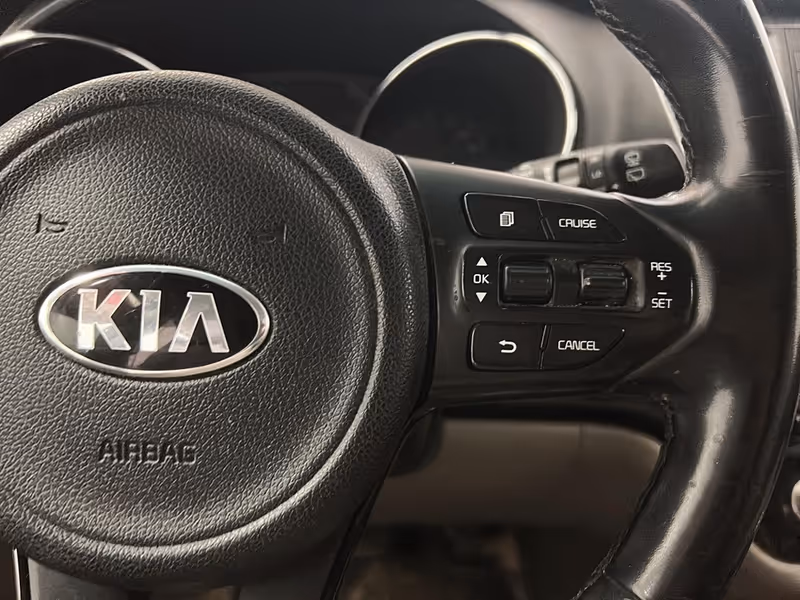 2017 Kia Sedona
