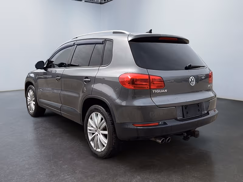 2015 Volkswagen Tiguan