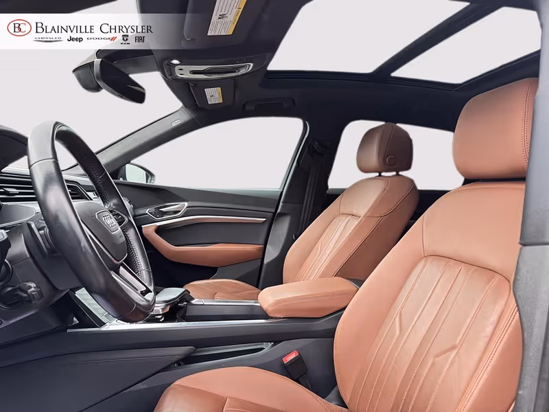 2019 Audi e-tron Progressiv