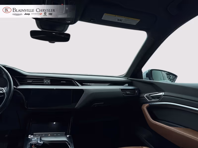 2019 Audi e-tron Progressiv
