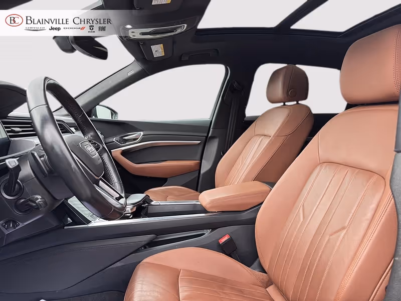 2019 Audi e-tron Progressiv