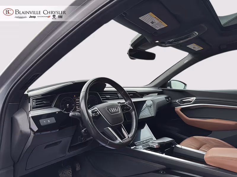 2019 Audi e-tron Progressiv