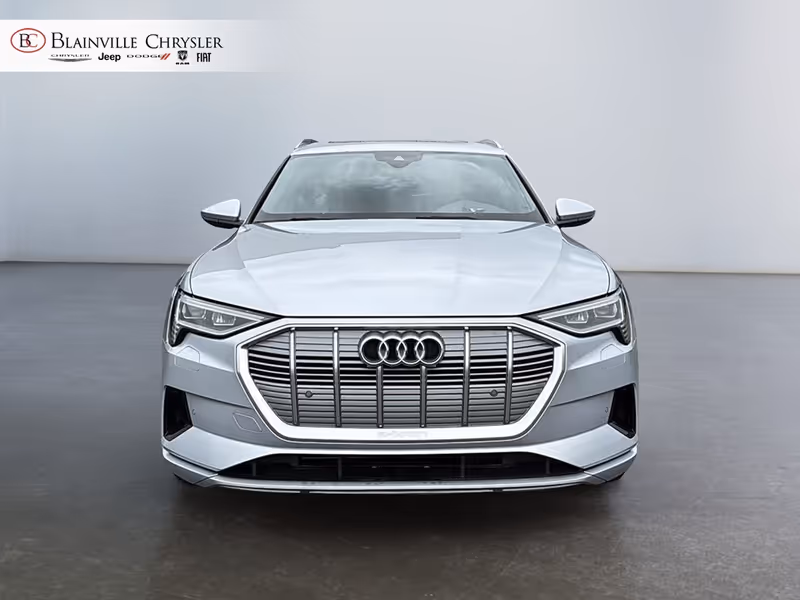 2019 Audi e-tron Progressiv