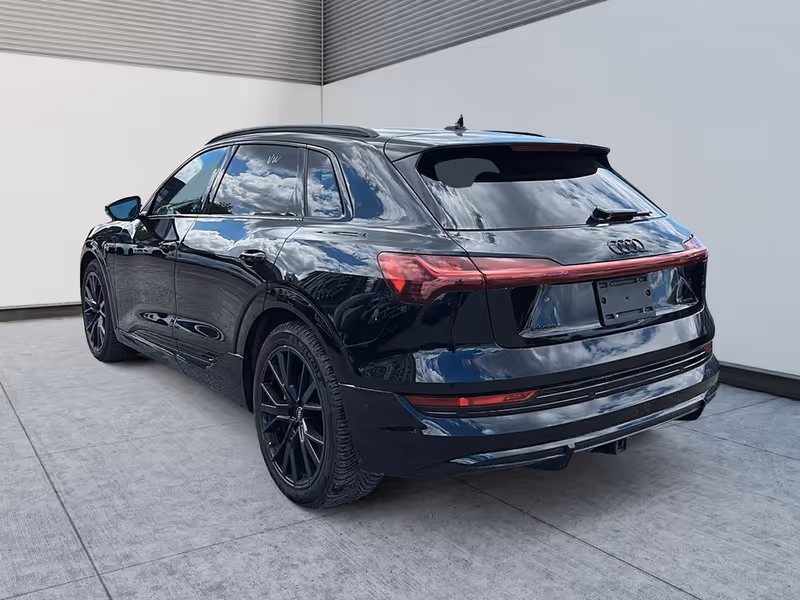 2022 Audi e-tron Technik