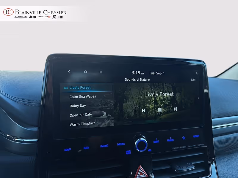 2021 Hyundai Ioniq Electric Preferred
